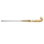 Y1 AH16 10 Hockeystick