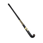 Y1 Indoor IL.W2 Hockeystick